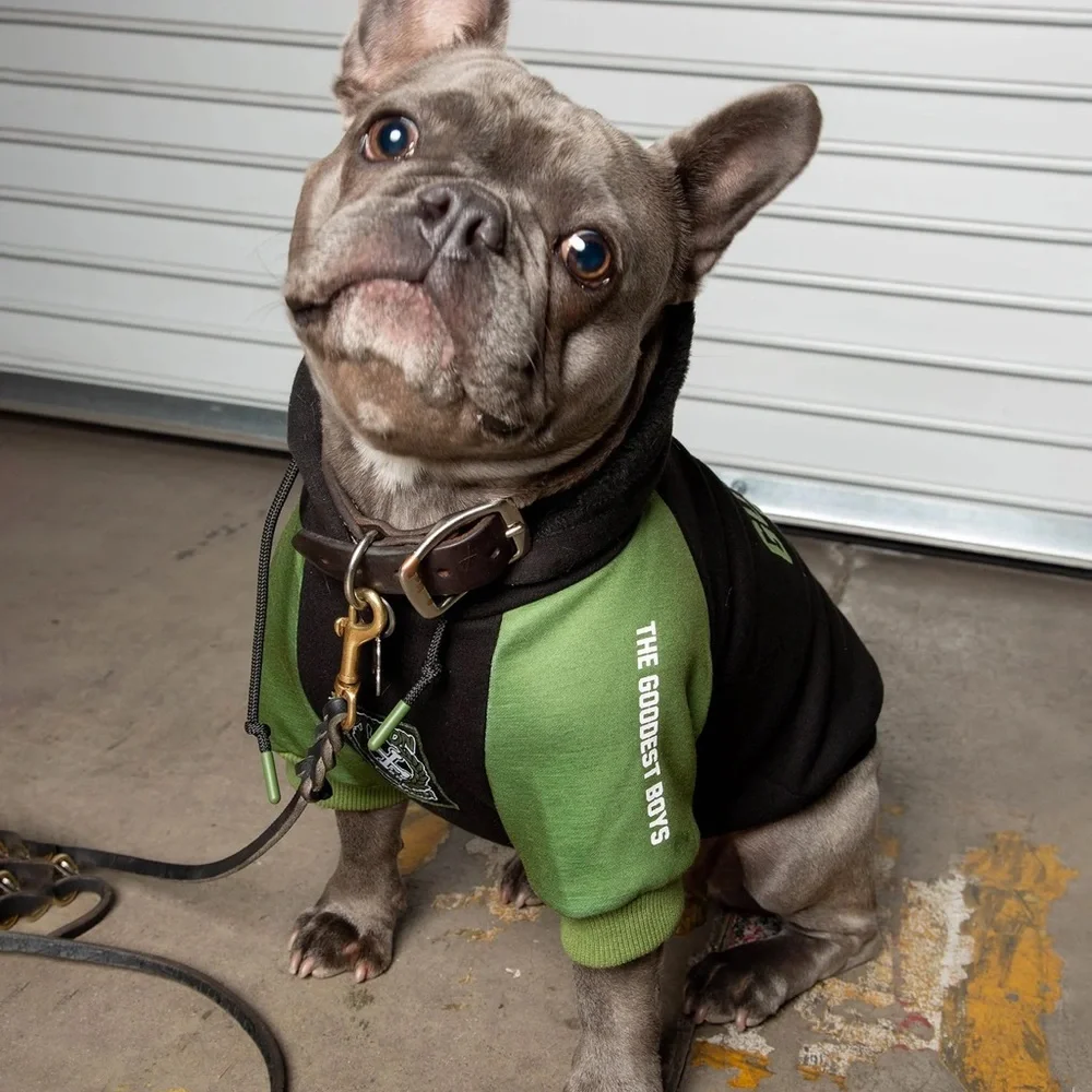 Dixxon Dog Hoodie